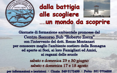 Dalla battigia alle scogliere – 17 e 18 agosto 2019