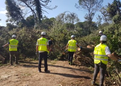 Emergenza Ambientale a terra